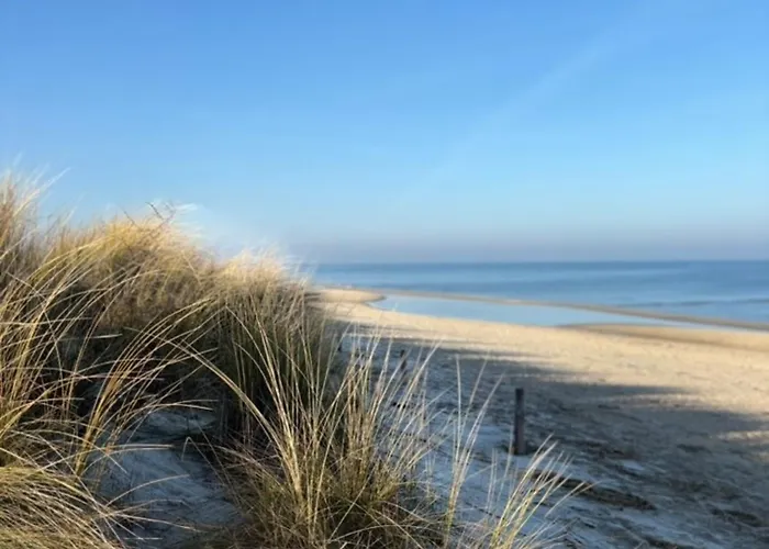 Usedom - Haus Andrea - 300meter Zur Ostsee *